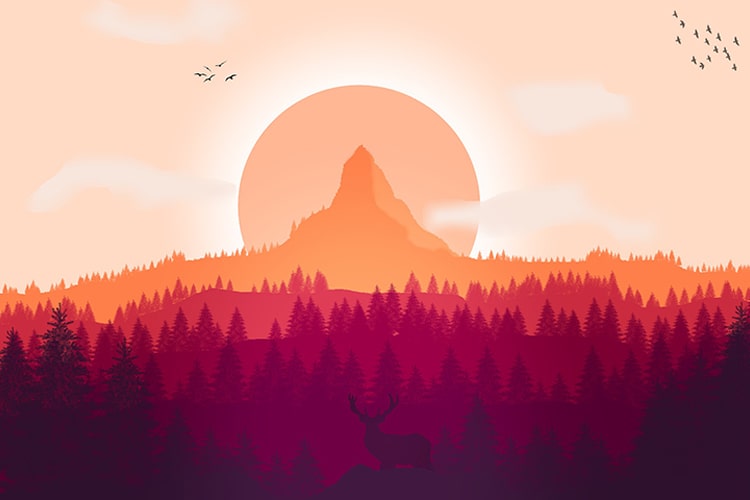 Image hover effect image